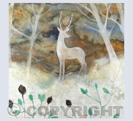 Christmas Morning in the forest