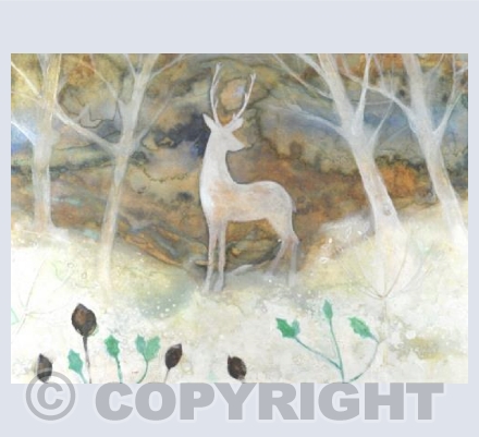 Christmas morning in the forest