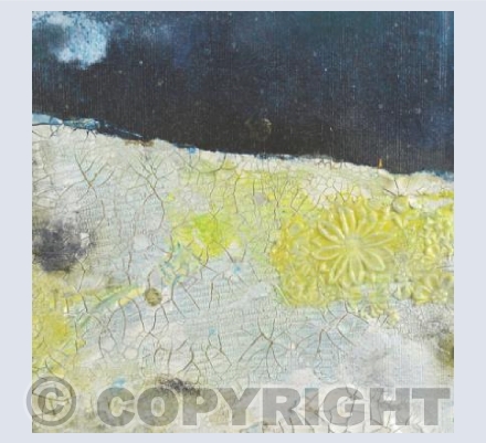 Moonlit field