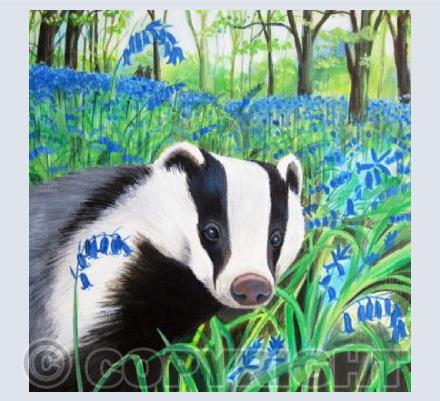 Badger and Bluebells