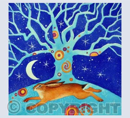 Winter hare