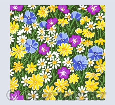 Wild Flowers