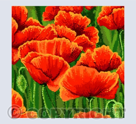 Poppies