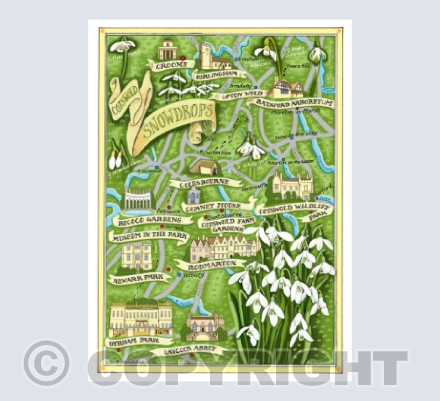 Cotswold Snowdrops