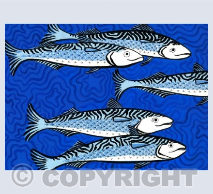 Mackerel