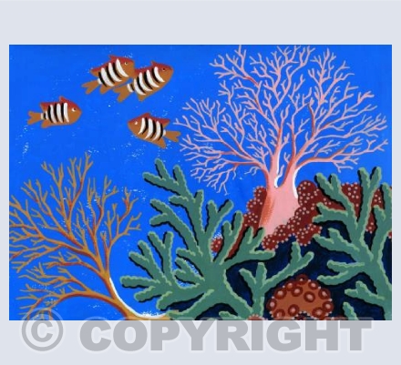 Clown Fish and Coral 