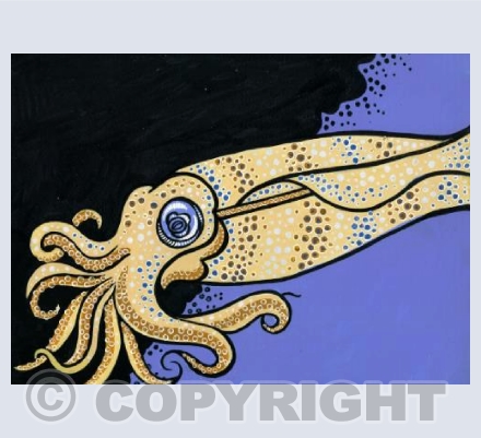 Squid