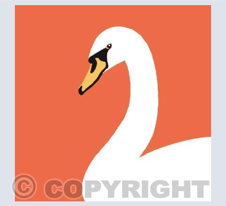 Swan on Red