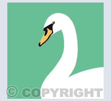 Swan on Green