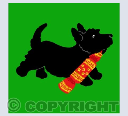 Xmas cracker