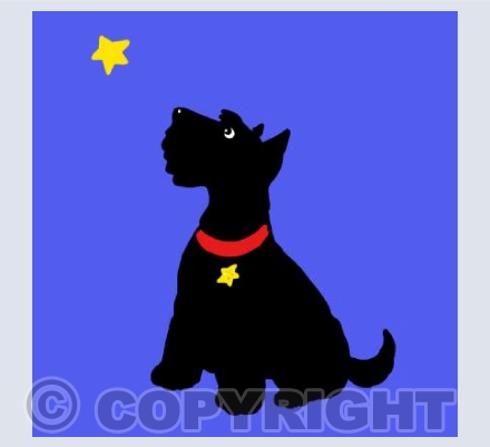  Star