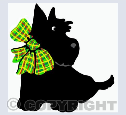 Tartan Bow