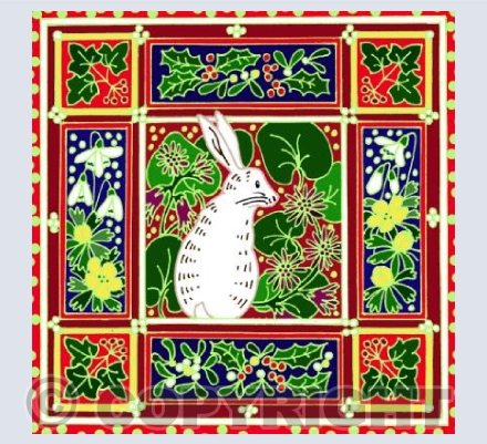 White Winter Hare