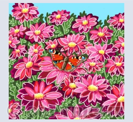 Summer flowers