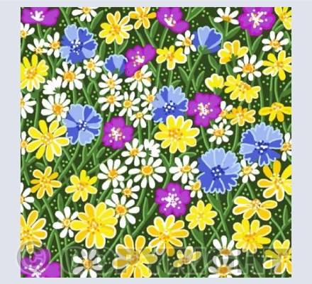 Wild flowers