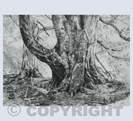 Boar tree