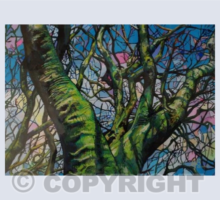 Winter Beeches