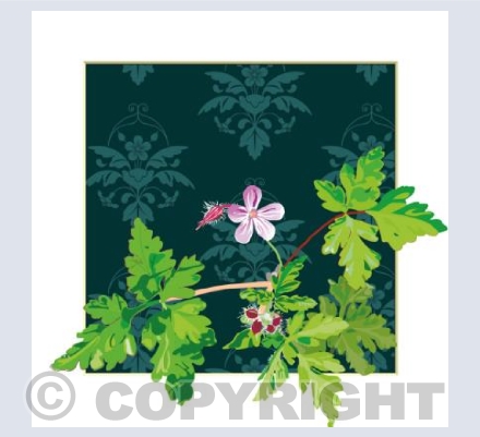 Herb Robert Damask 1: Fruit