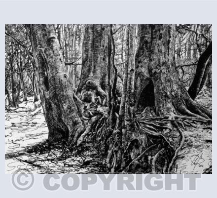 Woodland Habitat (fairy houses)