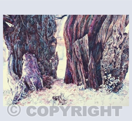 Woodcott