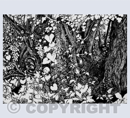 Hedgerow