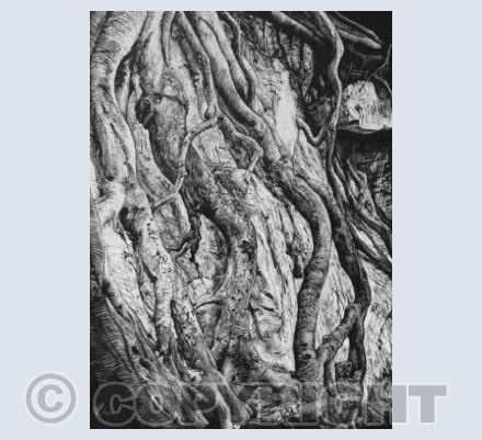 Sinuate
