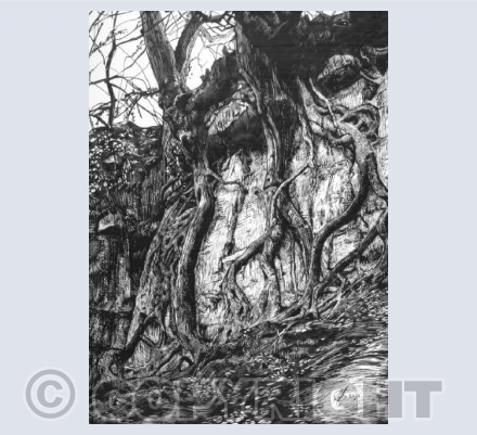 Dancing at the Dawn of Time