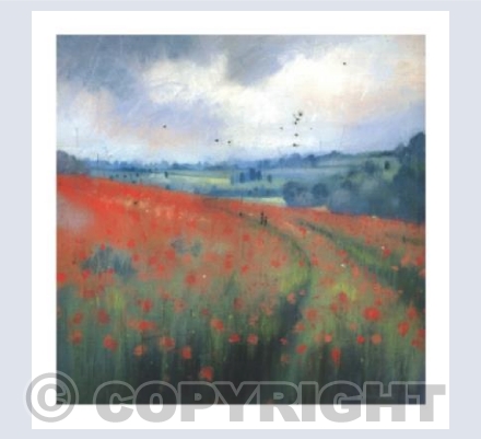 Poppy Days