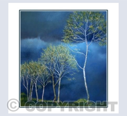 Stormy Skies