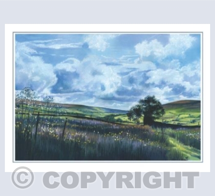 Up on the Moors