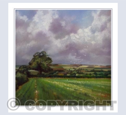 After the Plough