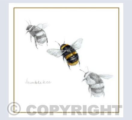 Bumble Bee in Flight