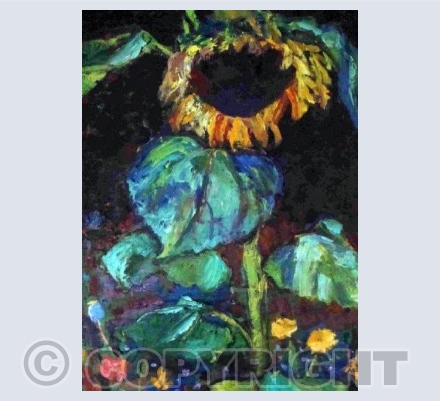 Sunflower