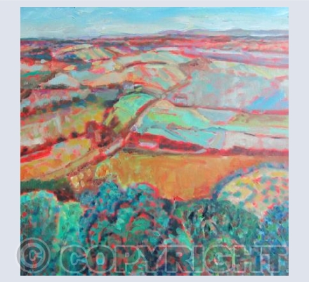 Summer Fields