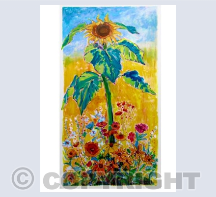 Sunflower 