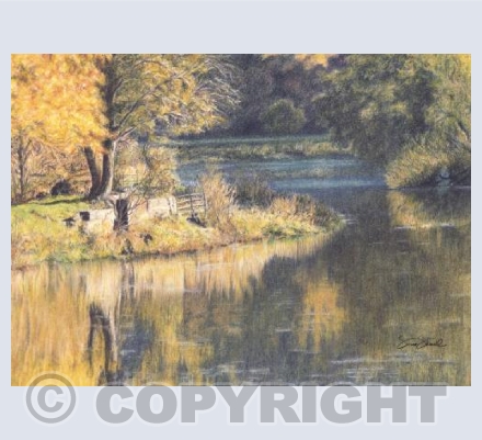 Autumn Reflections