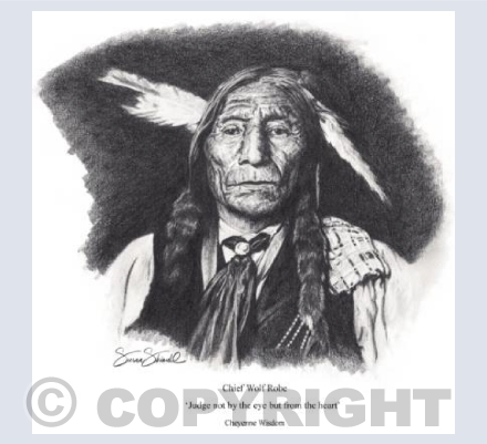 Chief Wolf Robe