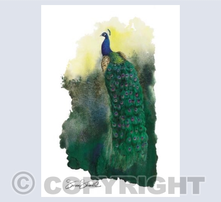 Peacock at Larmer Tree Gardens