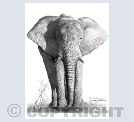Gentle Giant