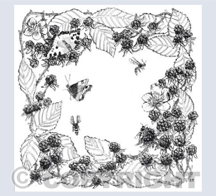 "the brambles, wasps and butterfly's"