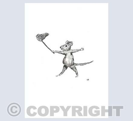 off to catch Butterflies