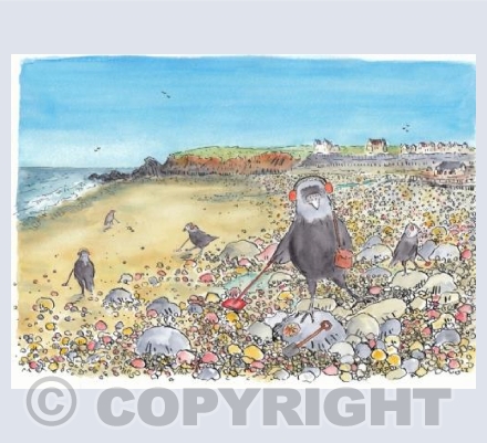 Bude beach combing 