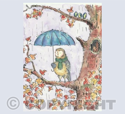 Rain off