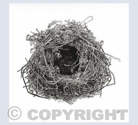 The Nest