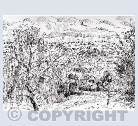 "The view from Brandon Hill"