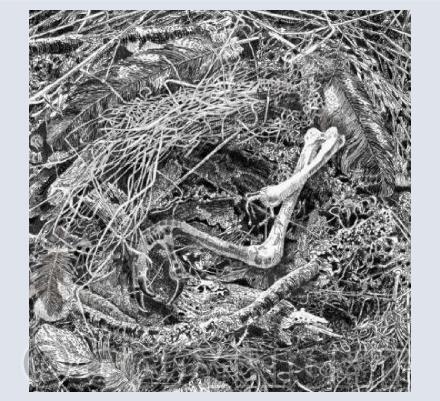 "The leg in the grass"