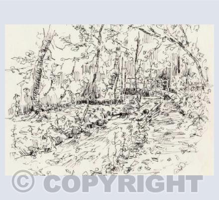 "St Annes wood and stream"