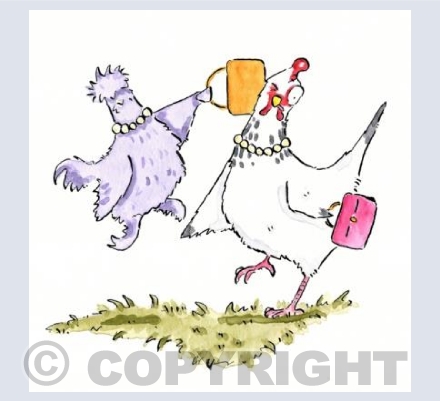 Hen fight