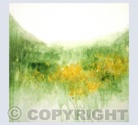 Meadow Buttercup, Ranunculus acris