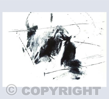 Like the Birds on the Wire